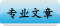 专业文章